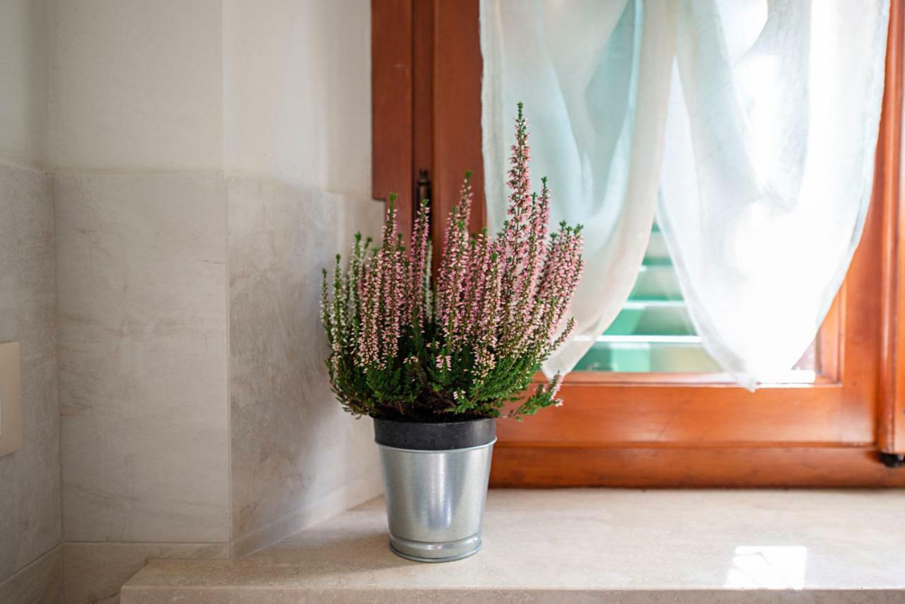 Minerva Apartment Casciana Terme Dış mekan fotoğraf